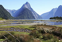 Milford Sound Fjordland Neuseeland