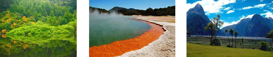 Reise Natur in Neuseeland erleben