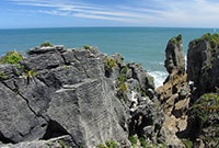 Punakaiki Neuseeland