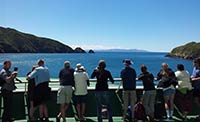 champagne Pool Neuseeland